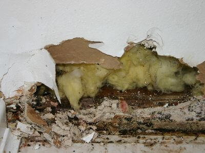 About HydroShift Team - water damage restoration experts in San Diego